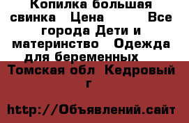 Копилка большая свинка › Цена ­ 300 - Все города Дети и материнство » Одежда для беременных   . Томская обл.,Кедровый г.